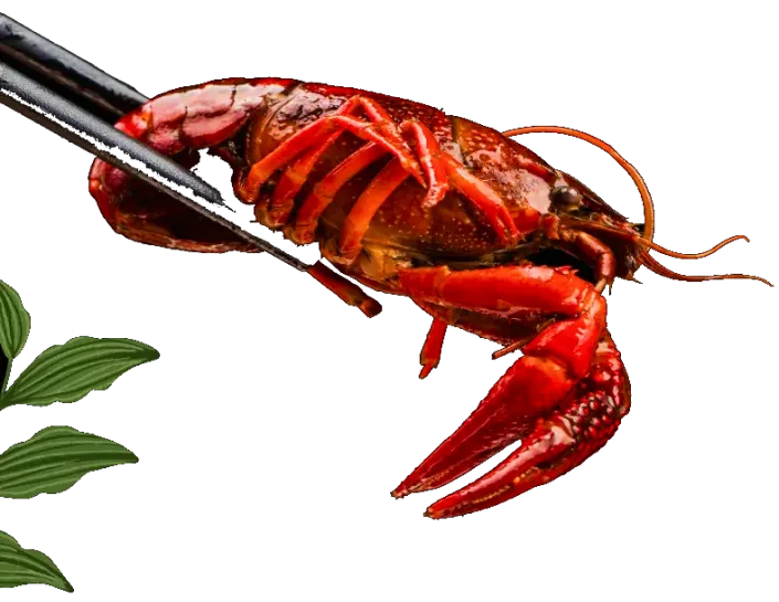 A close-up of a vibrant red cooked lobster or crawfish, held with chopsticks, representing a fresh seafood dish from Voro Food.